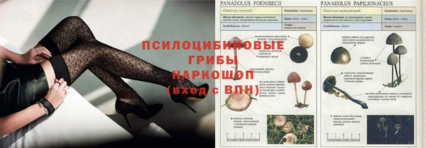 спайс Абаза
