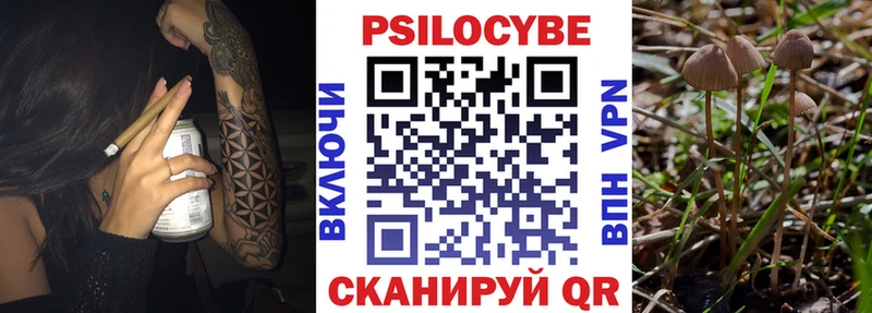 Псилоцибиновые грибы Psilocybine cubensis  купить наркоту  Новое Девяткино 